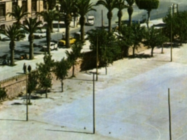Almería, 1953: Cuando las moreras eran «arrasadas» para «sustento de gusanos de seda» o para «gustar de las moras»